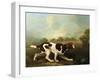 A Pointer-George Stubbs-Framed Giclee Print