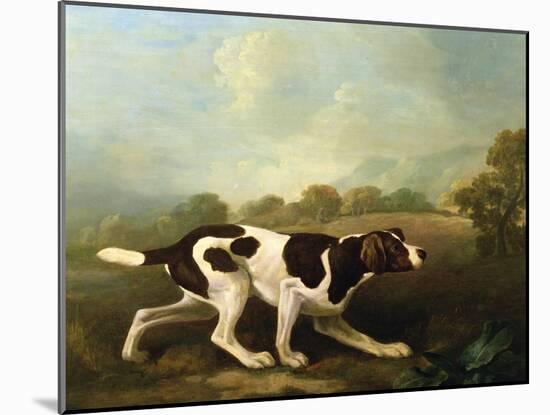 A Pointer-George Stubbs-Mounted Giclee Print
