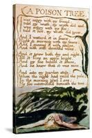 A Poison Tree, from Songs of Experience-William Blake-Stretched Canvas