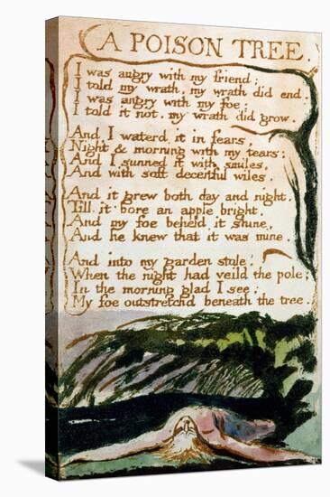 A Poison Tree, from Songs of Experience-William Blake-Stretched Canvas