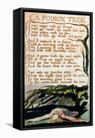 A Poison Tree, from Songs of Experience-William Blake-Framed Stretched Canvas