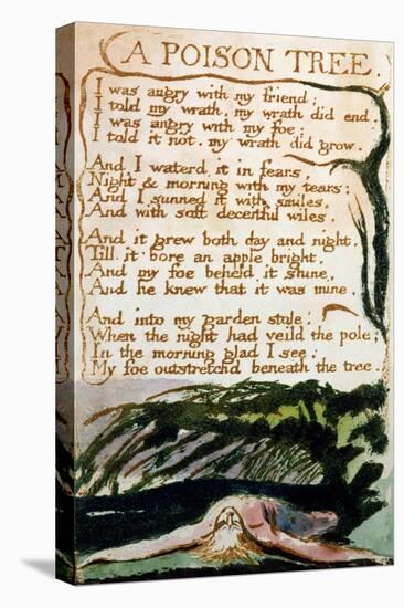 A Poison Tree, from Songs of Experience-William Blake-Stretched Canvas
