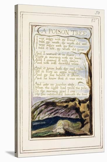 A Poison Tree: Plate 50 from 'Songs of Innocence and of Experience' C.1802-08-William Blake-Stretched Canvas