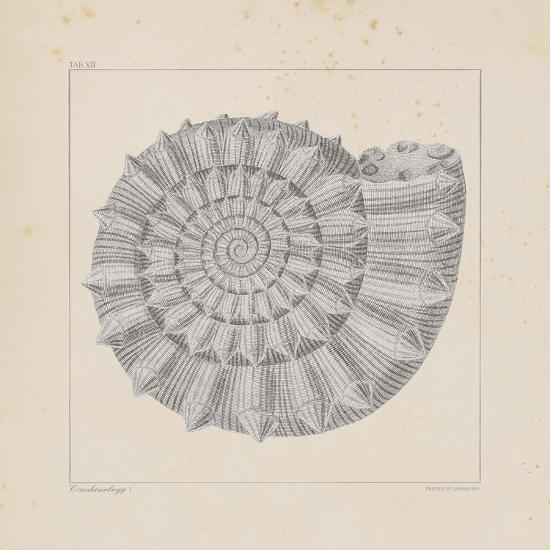 Limited Edition, , large