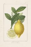 Cimex Oleraceus-A^ Poiteau-Art Print