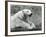 A Polar Bear Resting on a Rocky Ledge at London Zoo in 1931 (B/W Photo)-Frederick William Bond-Framed Giclee Print