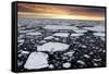 A Polar Bear Rests in the Drifting Ice Floating on the Arctic Ocean, Svalbard, Norway.-ClickAlps-Framed Stretched Canvas