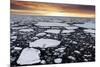 A Polar Bear Rests in the Drifting Ice Floating on the Arctic Ocean, Svalbard, Norway.-ClickAlps-Mounted Photographic Print