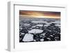 A Polar Bear Rests in the Drifting Ice Floating on the Arctic Ocean, Svalbard, Norway.-ClickAlps-Framed Photographic Print