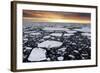 A Polar Bear Rests in the Drifting Ice Floating on the Arctic Ocean, Svalbard, Norway.-ClickAlps-Framed Photographic Print