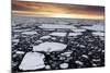 A Polar Bear Rests in the Drifting Ice Floating on the Arctic Ocean, Svalbard, Norway.-ClickAlps-Mounted Photographic Print