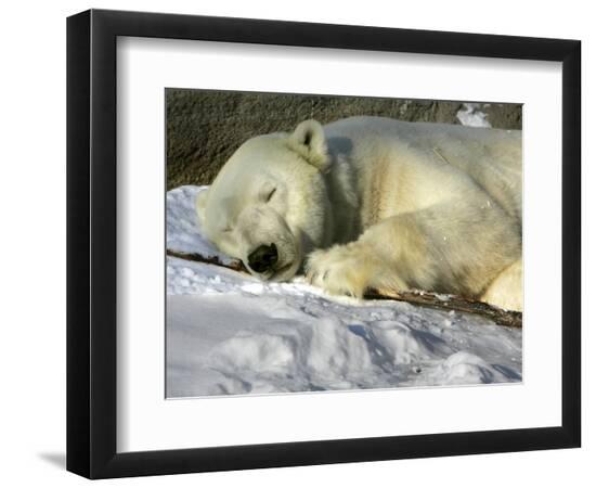 Premium Photographic Print, , large