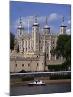 A Police Launch on the River Thames, Passing the Tower of London, England-David Hughes-Mounted Photographic Print