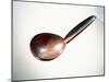 A polished wood spoon-null-Mounted Giclee Print