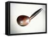 A polished wood spoon-null-Framed Stretched Canvas