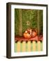 A Pomegranate with Asian Linens-Jan-peter Westermann-Framed Photographic Print