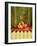 A Pomegranate with Asian Linens-Jan-peter Westermann-Framed Photographic Print