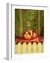 A Pomegranate with Asian Linens-Jan-peter Westermann-Framed Photographic Print