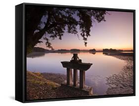 A Pond (Etang) in the Natural Park of La Brenne (Pays Aux Mille Etangs) (Country of a Thousand Lake-Julian Elliott-Framed Stretched Canvas