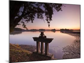 A Pond (Etang) in the Natural Park of La Brenne (Pays Aux Mille Etangs) (Country of a Thousand Lake-Julian Elliott-Mounted Photographic Print