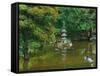 A pond in Japanese Tea Garden, San Francisco, California, USA-Anna Miller-Framed Stretched Canvas