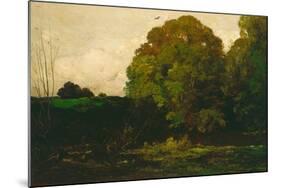 A Pond in the Morvan, 1869-Charles Francois Daubigny-Mounted Giclee Print