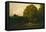 A Pond in the Morvan, 1869-Charles Francois Daubigny-Framed Stretched Canvas