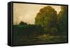 A Pond in the Morvan, 1869-Charles Francois Daubigny-Framed Stretched Canvas