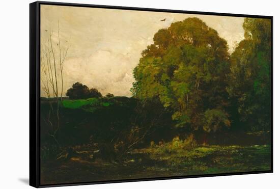 A Pond in the Morvan, 1869-Charles Francois Daubigny-Framed Stretched Canvas