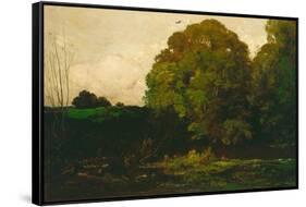 A Pond in the Morvan, 1869-Charles Francois Daubigny-Framed Stretched Canvas