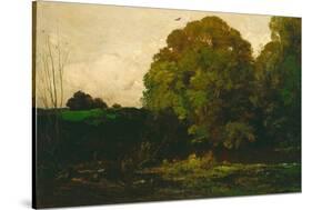 A Pond in the Morvan, 1869-Charles Francois Daubigny-Stretched Canvas