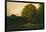 A Pond in the Morvan, 1869-Charles Francois Daubigny-Framed Giclee Print