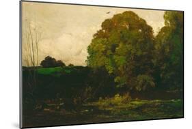 A Pond in the Morvan, 1869-Charles Francois Daubigny-Mounted Giclee Print