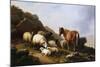 A Pony and Sheep on a Cliff with a Sailing Vessel Beyond, 1868-Eugene Joseph Verboeckhoven-Mounted Giclee Print