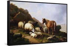 A Pony and Sheep on a Cliff with a Sailing Vessel Beyond, 1868-Alfred Thompson Bricher-Framed Stretched Canvas
