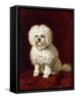 A Poodle-Henriette Ronner-Knip-Framed Stretched Canvas