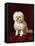 A Poodle-Henriette Ronner-Knip-Framed Stretched Canvas