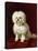 A Poodle-Henriette Ronner-Knip-Stretched Canvas