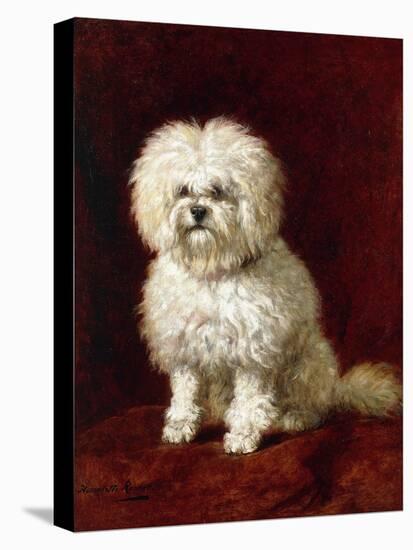 A Poodle-Henriette Ronner-Knip-Stretched Canvas