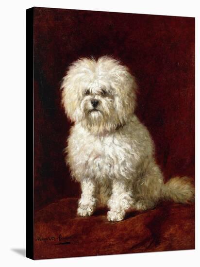 A Poodle-Henriette Ronner-Knip-Stretched Canvas