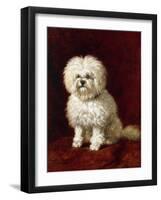 A Poodle-Henriette Ronner-Knip-Framed Giclee Print