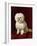 A Poodle-Henriette Ronner-Knip-Framed Giclee Print