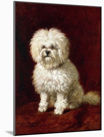 A Poodle-Henriette Ronner-Knip-Mounted Giclee Print