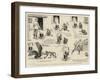 A Poor Substitute, or a Monkey's Mistake, a West Indian Story-William Ralston-Framed Giclee Print