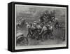 A Popular Display at the Royal Military Tournament, Bluejackets in Action-William T. Maud-Framed Stretched Canvas