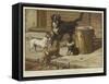 A Popular Professional-Alfred W. Cooper-Framed Stretched Canvas