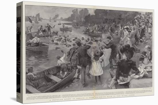 A Popular Sport in Berlin, a Dog's Swimming Race in the River Spree-William Hatherell-Stretched Canvas