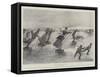 A Popular Winter Amusement in Germany-Henry Charles Seppings Wright-Framed Stretched Canvas