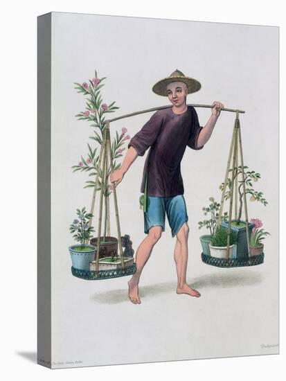 'A Porter with Fruit Trees and Flowers', China, 1800-J Dadley-Stretched Canvas