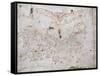 A Portolan Chart of Europe, circa 1500-null-Framed Stretched Canvas